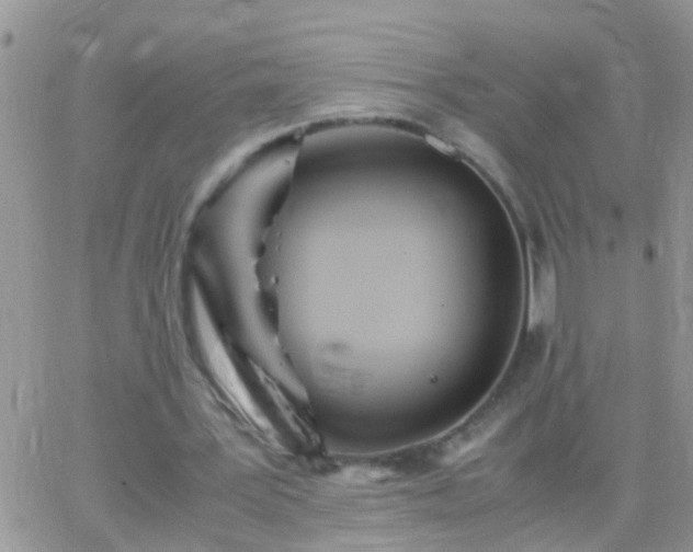 X0000065240387200602242030