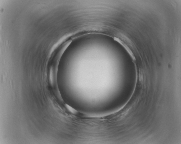 X0000065240388200602242030