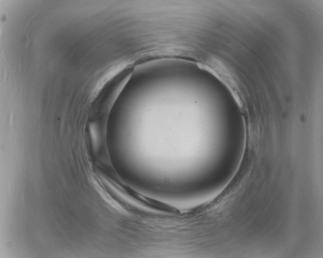 X0000065240389200602242030