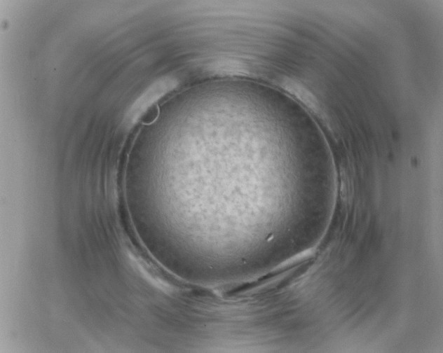 X0000065240390200602242030