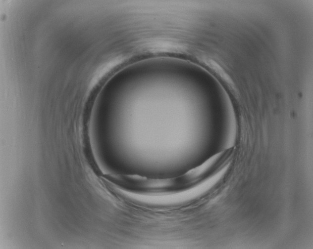 X0000065240391200602242030