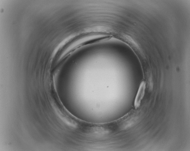 X0000065240392200602242030