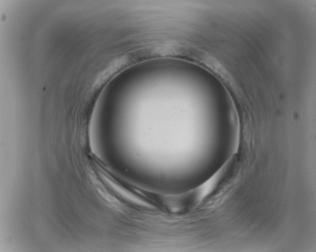 X0000065240393200602242030