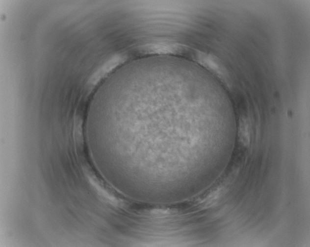 X0000065240394200602242030