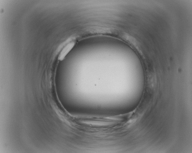 X0000065240395200602242030