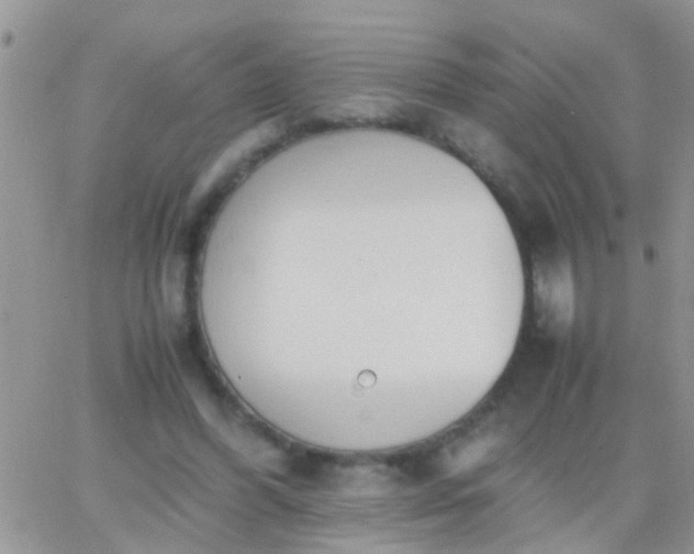 X0000065240396200602242030