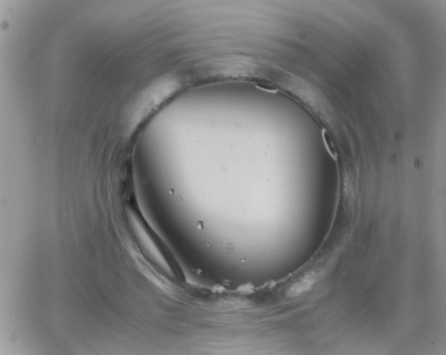 X0000065240397200602242030