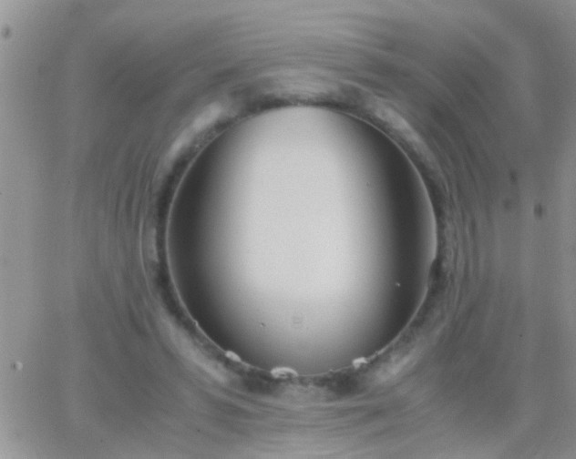 X0000065240399200602242030