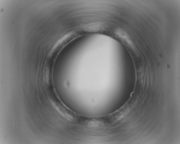 X0000065240400200602242030