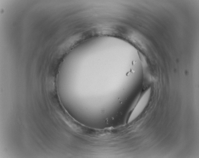 X0000065240401200602242030