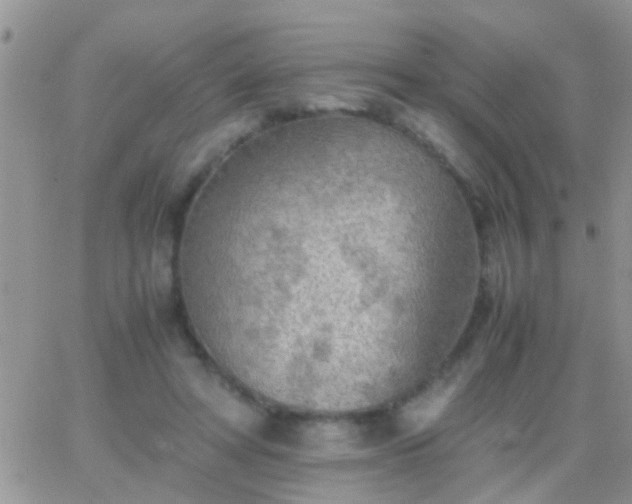 X0000065240402200602242030