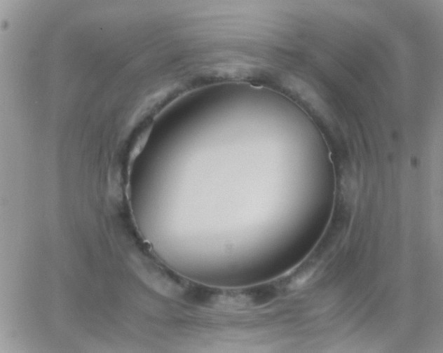 X0000065240403200602242030