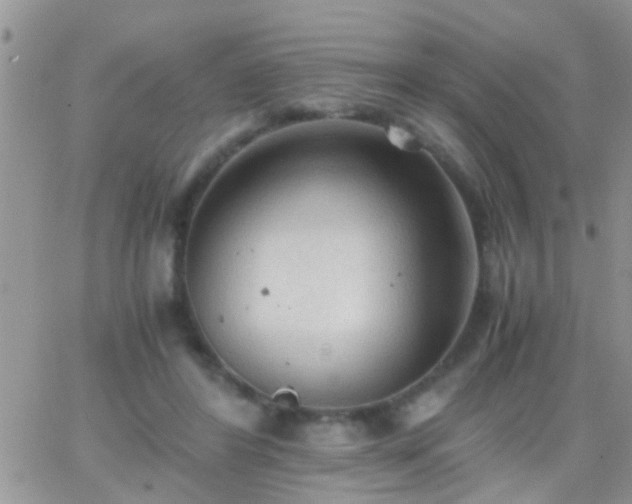 X0000065240404200602242030