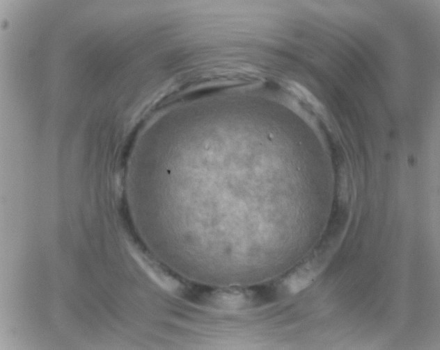 X0000065240405200602242030