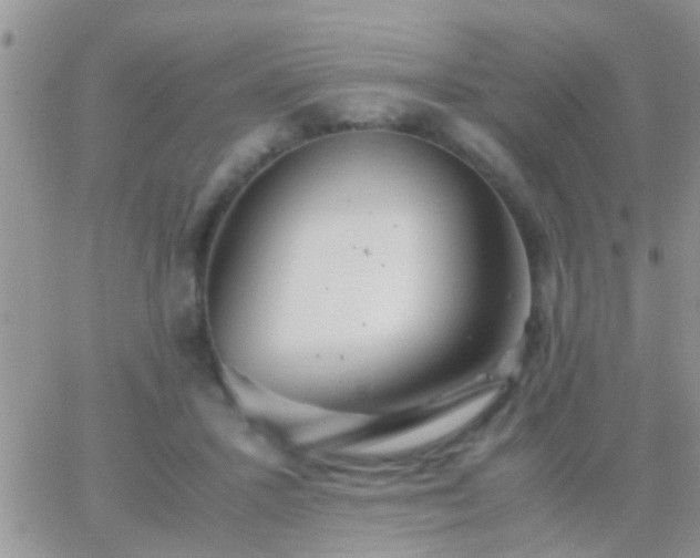 X0000065240407200602242030