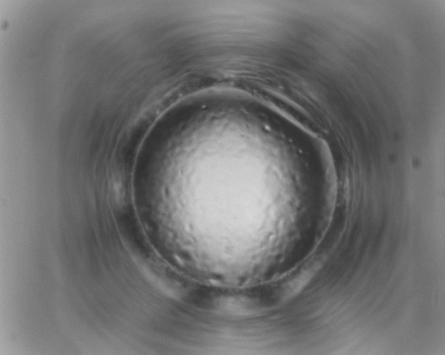 X0000065240408200602242030