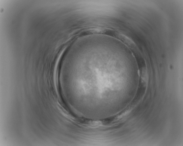 X0000065240409200602242029