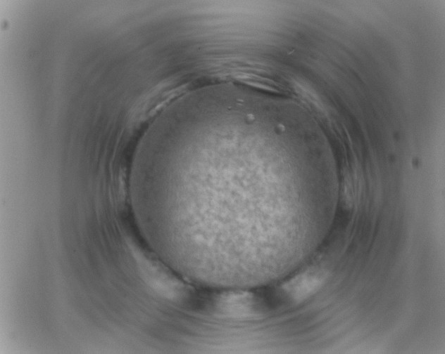 X0000065240410200602242029