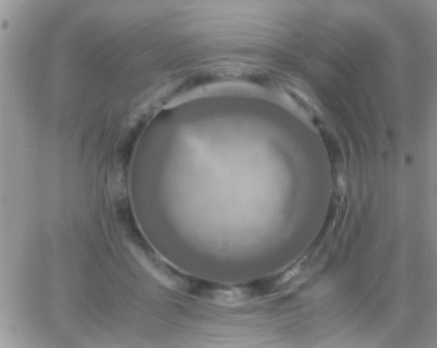 X0000065240411200602242029