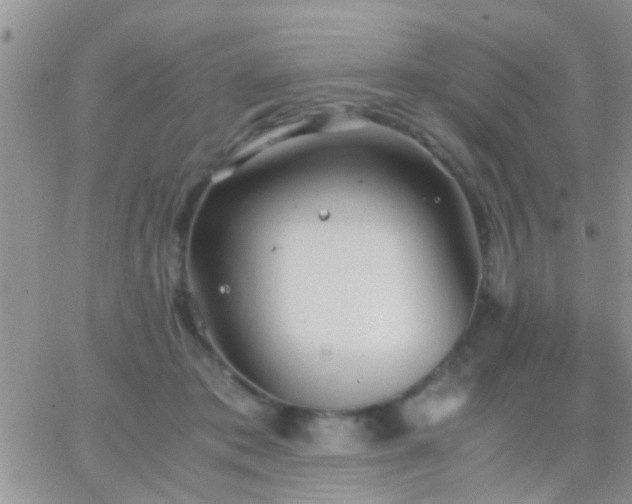 X0000065240413200602242029