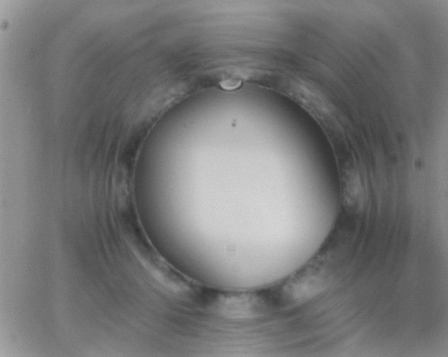 X0000065240414200602242029