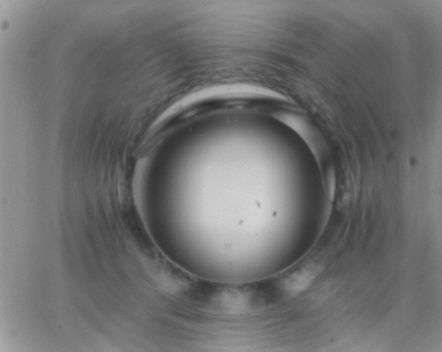 X0000065240416200602242029