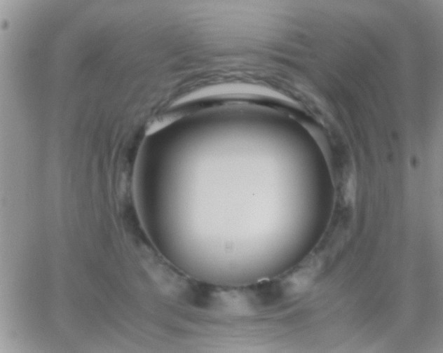 X0000065240417200602242029