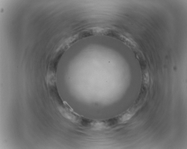 X0000065240419200602242029