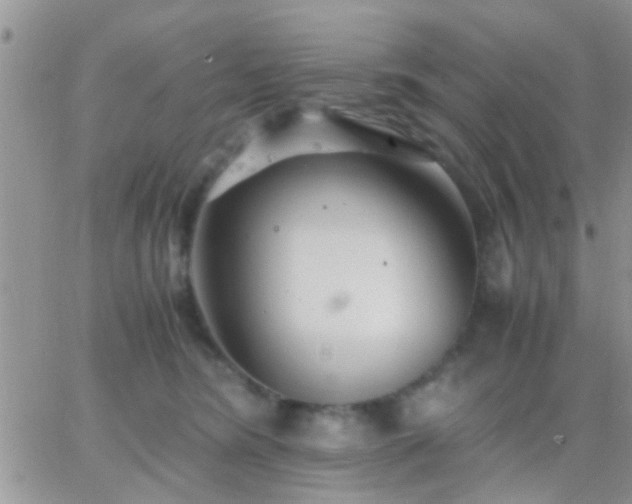 X0000065240420200602242029