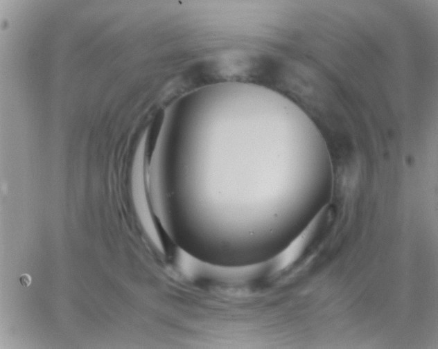 X0000065240421200602242029