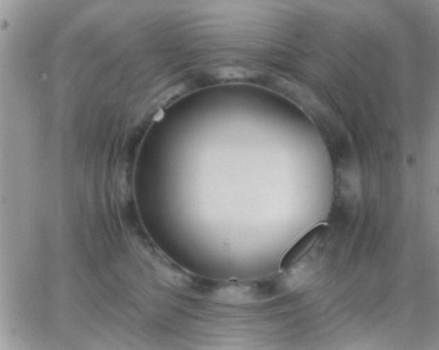 X0000065240422200602242029