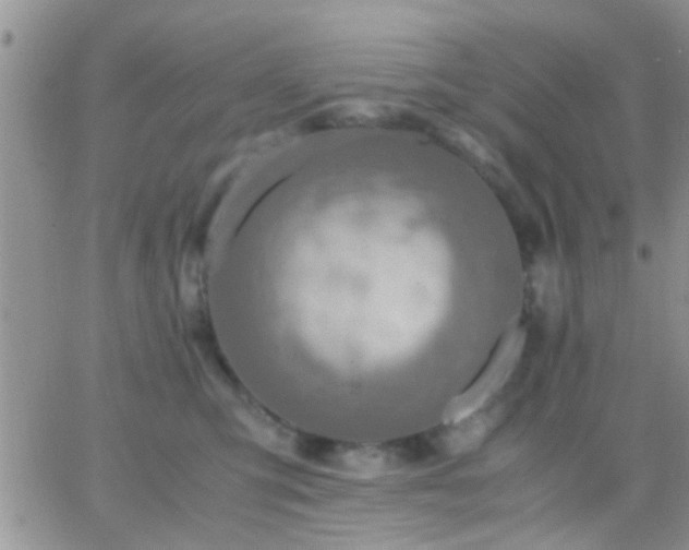 X0000065240423200602242029