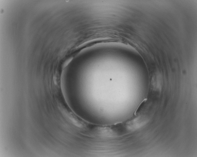 X0000065240424200602242029