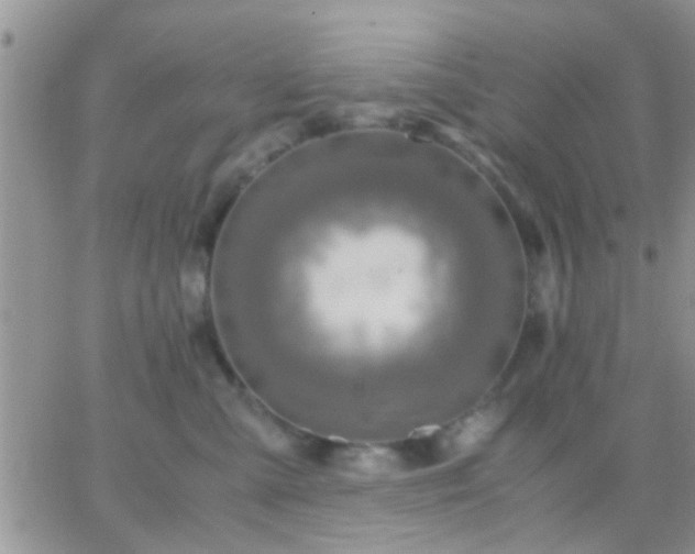 X0000065240427200602242029