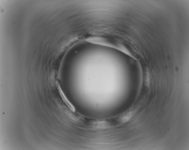 X0000065240428200602242029