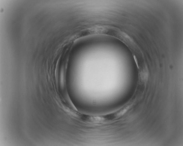 X0000065240429200602242029