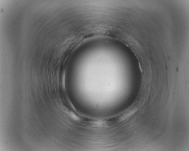 X0000065240432200602242029