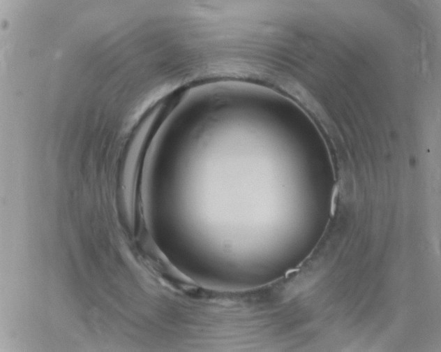 X0000065240434200602242028