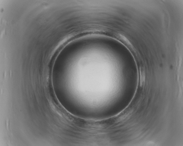 X0000065240435200602242028