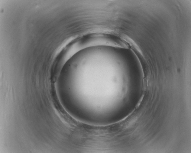 X0000065240436200602242028