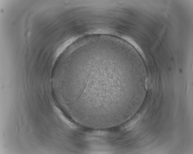 X0000065240437200602242028