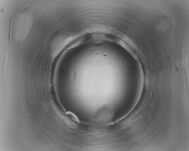 X0000065240438200602242028