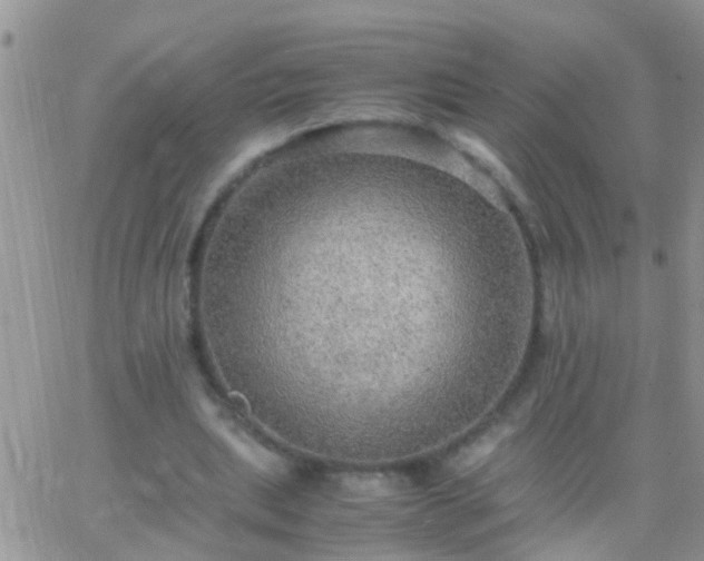 X0000065240439200602242028