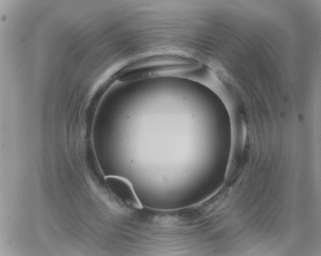 X0000065240440200602242028