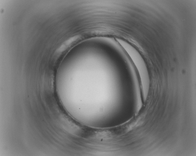 X0000065240446200602242029