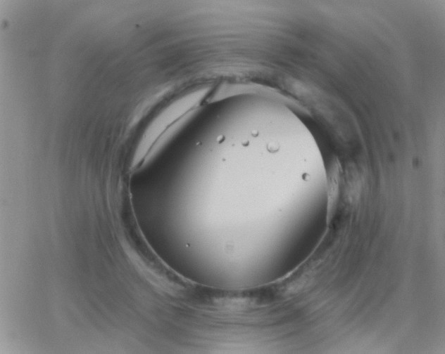 X0000065240448200602242029