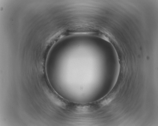 X0000065240450200602242029