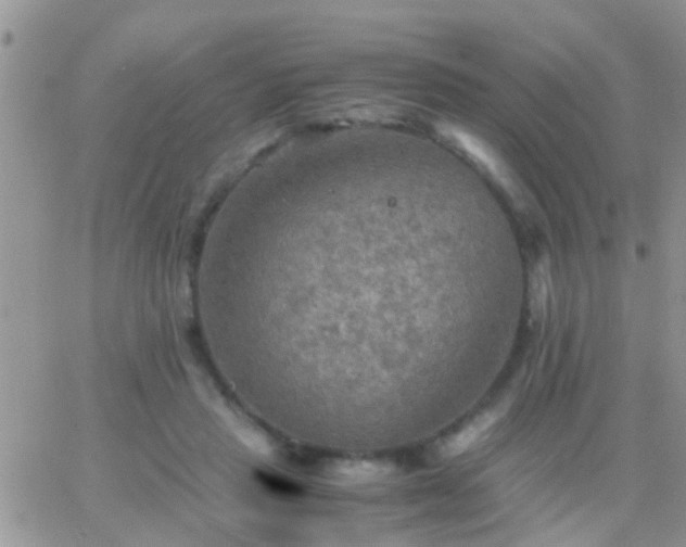 X0000065240453200602242029