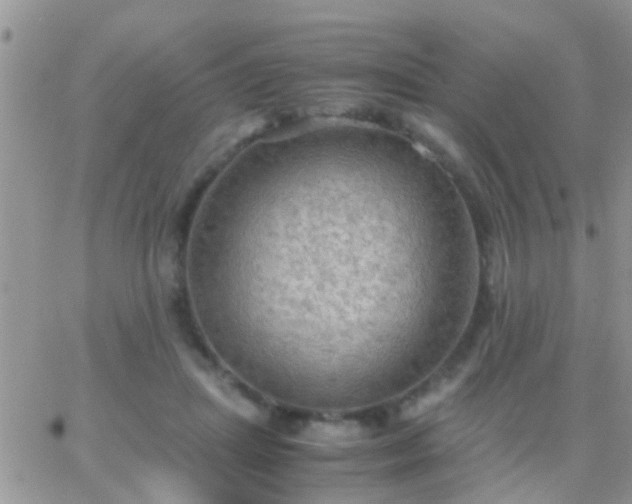 X0000065240455200602242029