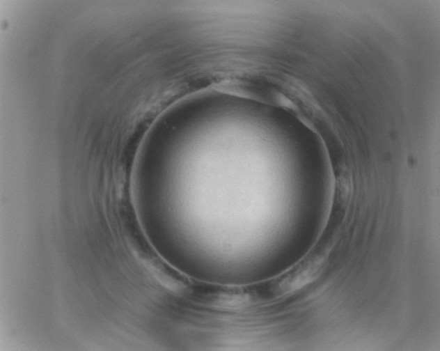 X0000065240458200602242029